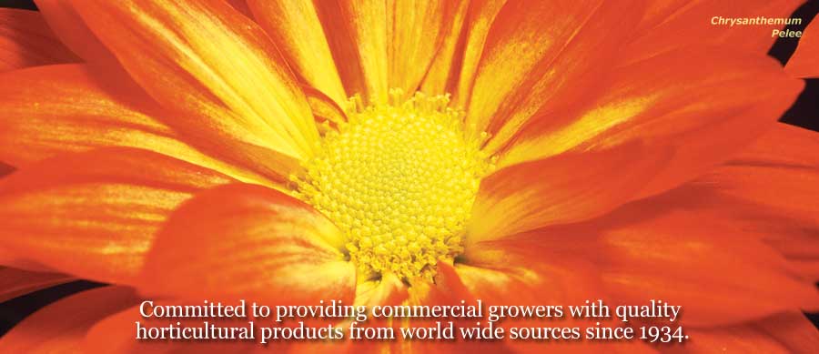 Committed to providing commercial growers with quality horticultural products from worldwide sources since 1934.