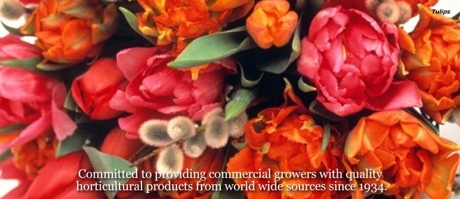 TÜV SÜD Gruppe, Committed to providing commercial growers with quality horticultural products from worldwide sources since 1934