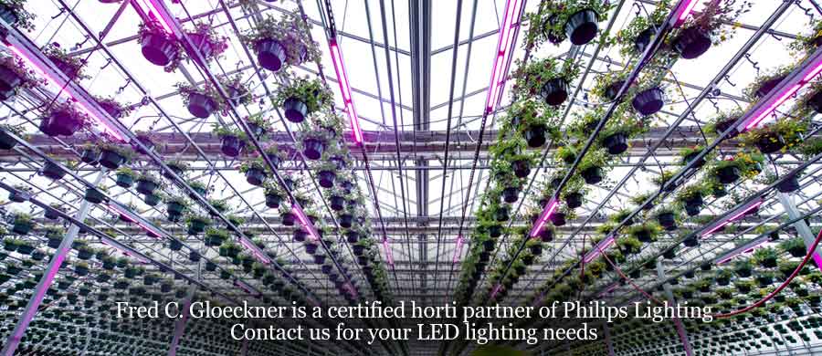 Fred C. Gloeckner is a certified horti partner of Philips Lighting Contact us for your LED lighting needs
